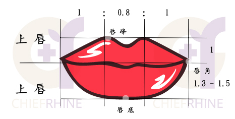 嘴唇黃金比例示意圖