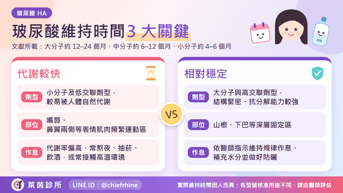 影響玻尿酸維持時間的 3 個因素:代謝較快與相對穩定的條件對照