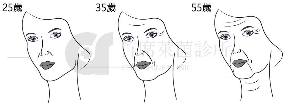 女人臉部老化進程